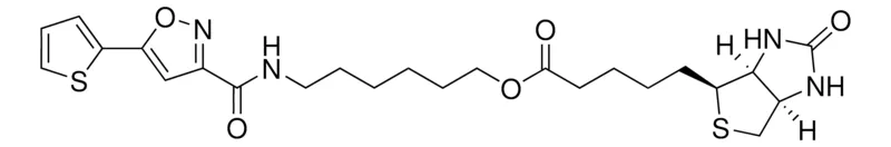 Sigma-Aldrich 生物素标记异恶唑，百分之九十五