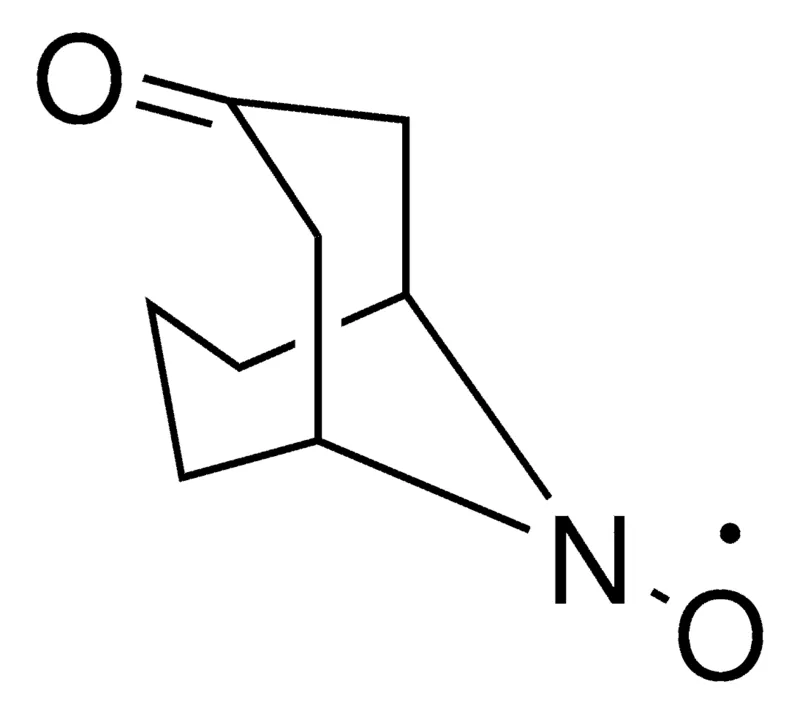 Sigma-Aldrich KetoABNO，95%，粉末