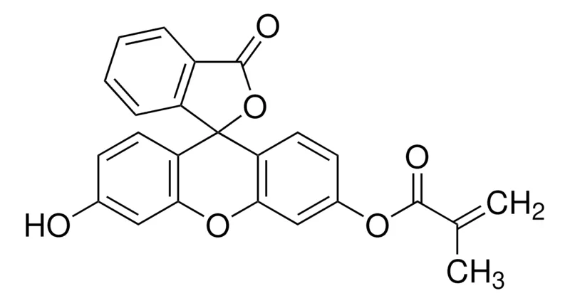 Sigma-Aldrich 荧光素O-甲基丙烯酸酯,百分之九十五