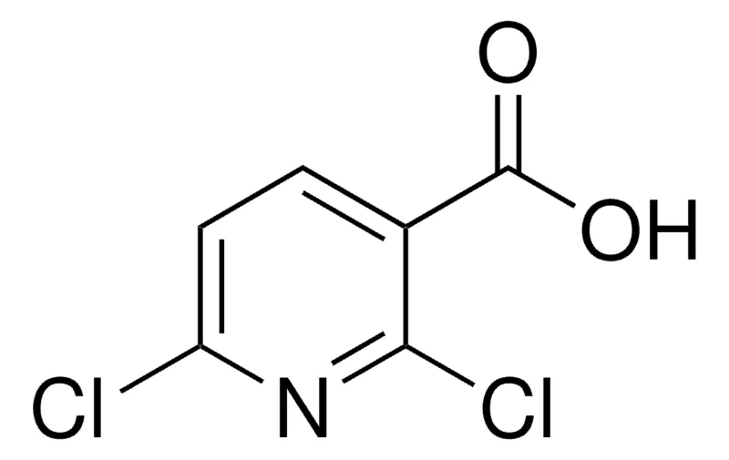 Sigma-Aldrich 2,6-二氯吡啶-3-羧酸，百分之九十七