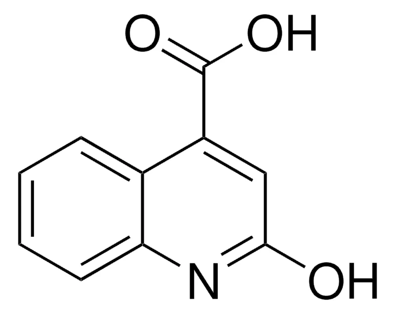 Sigma-Aldrich 2-羟基喹啉-4-羧酸，百分之九十七