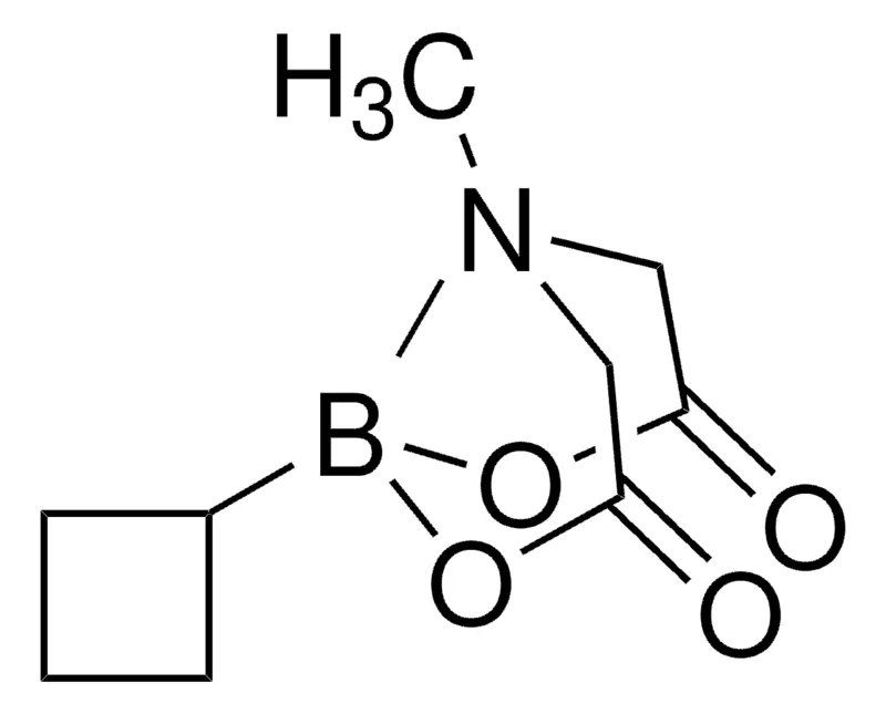Sigma-Aldrich 环丁基硼酸 MIDA 酯,百分之九十七