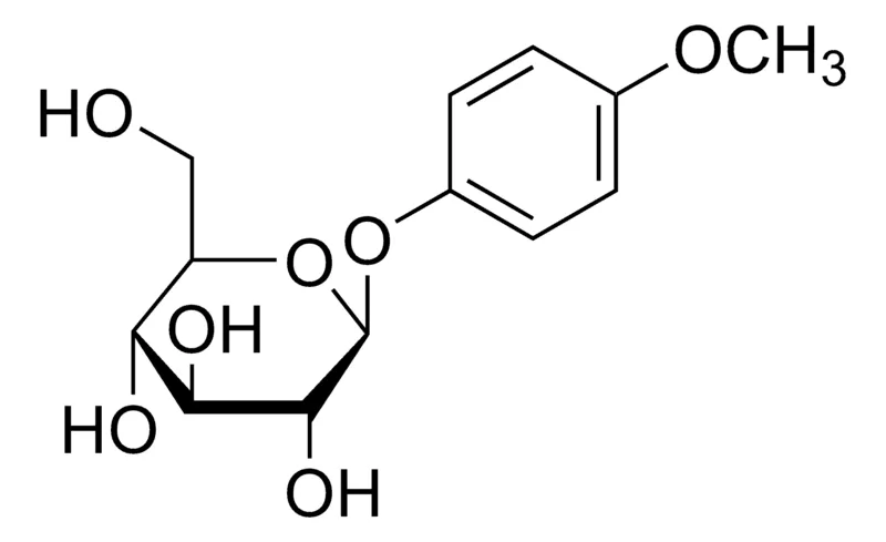 Sigma-Aldrich 4-Methoxyphenyl β-D-glucopyranoside，百分之九十七
