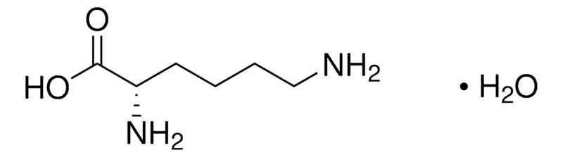 Sigma-Aldrich L-赖氨酸 水合物，百分之九十七