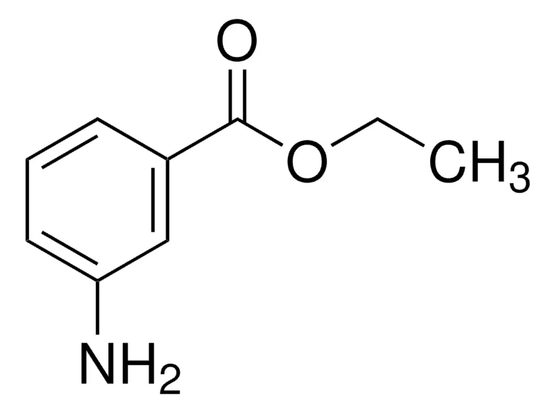 Sigma-Aldrich 3-氨基苯甲酸乙酯，百分之九十七