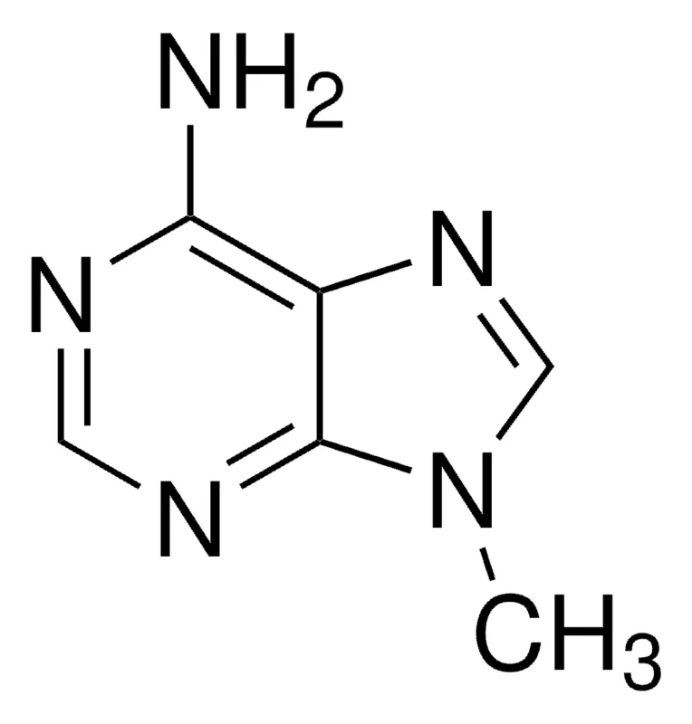 Sigma-Aldrich 9-甲基腺嘌呤,百分之九十七