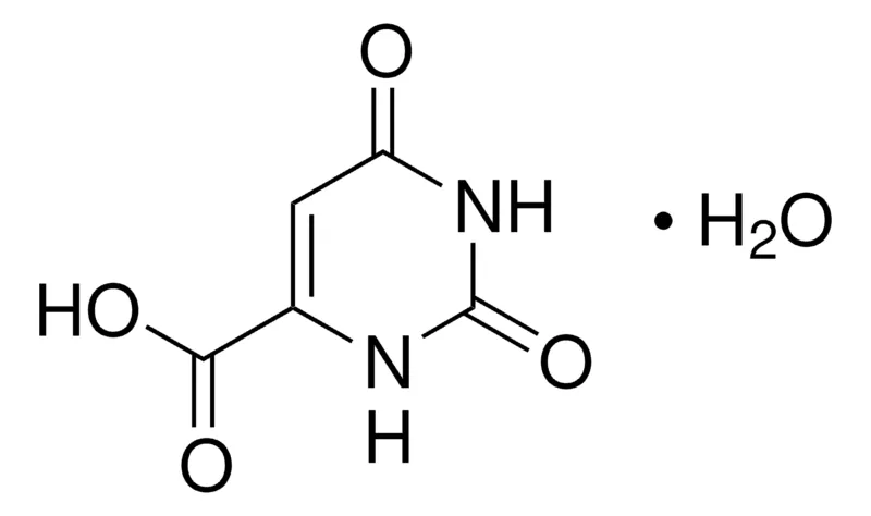 Sigma-Aldrich 乳清酸 一水合物，百分之九十七