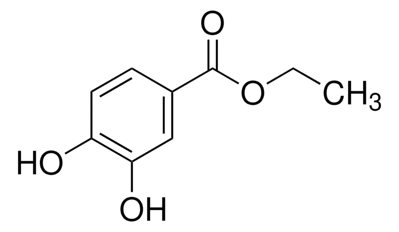 Sigma-Aldrich 原儿茶酸乙酯，百分之九十七