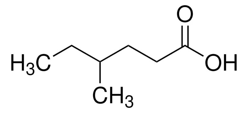 Sigma-Aldrich 4-甲基己酸，百分之九十七