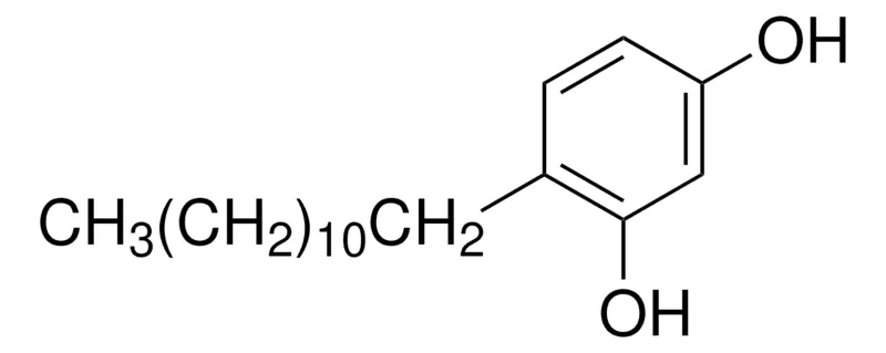 Sigma-Aldrich 4-十二烷基间苯二酚，百分之九十七