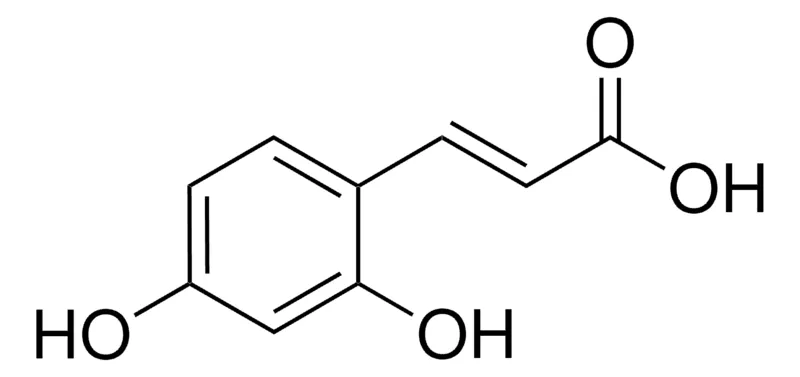 Sigma-Aldrich 2,4-二羟基肉桂酸，百分之九十七