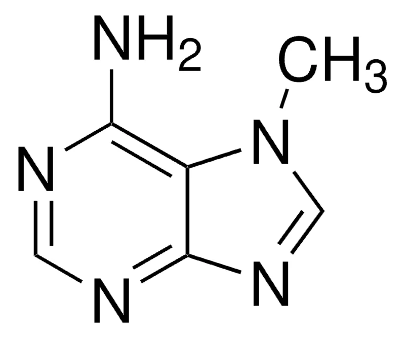 Sigma-Aldrich 7-甲基腺嘌呤，百分之九十七