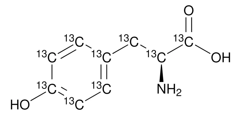 Sigma-Aldrich L-酪氨酸-13C9,98原子% 13 C,95%(CP)