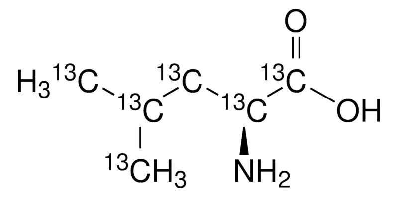 Sigma-Aldrich L-Leucine-13C6,98原子% 13 C,95%(CP)
