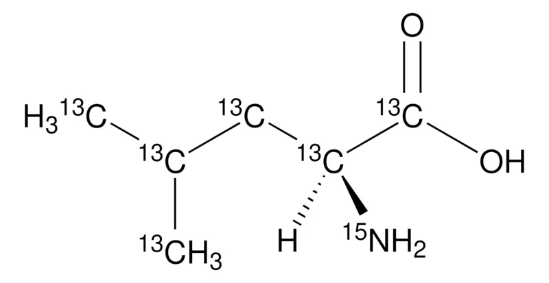 Sigma-Aldrich L-Leucine-13C6,15N,98原子% 13 C,98原子% 15 N,95%(CP)