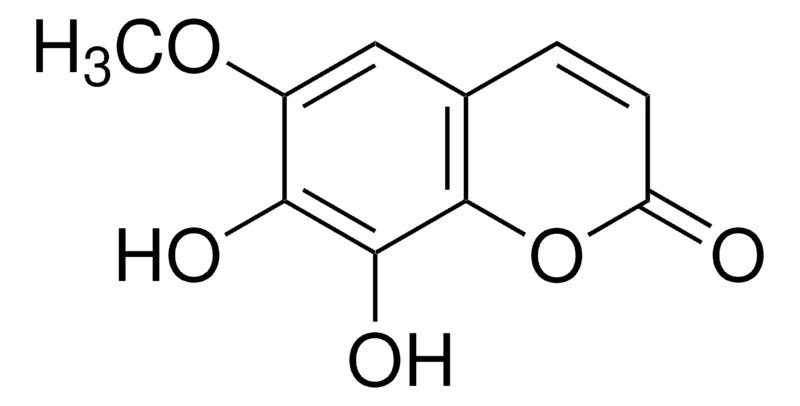Sigma-Aldrich 7,8-二羟基-6-甲氧基香豆素,百分之九十八