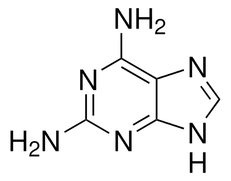 Sigma-Aldrich 2,6-二氨基嘌呤，百分之九十八