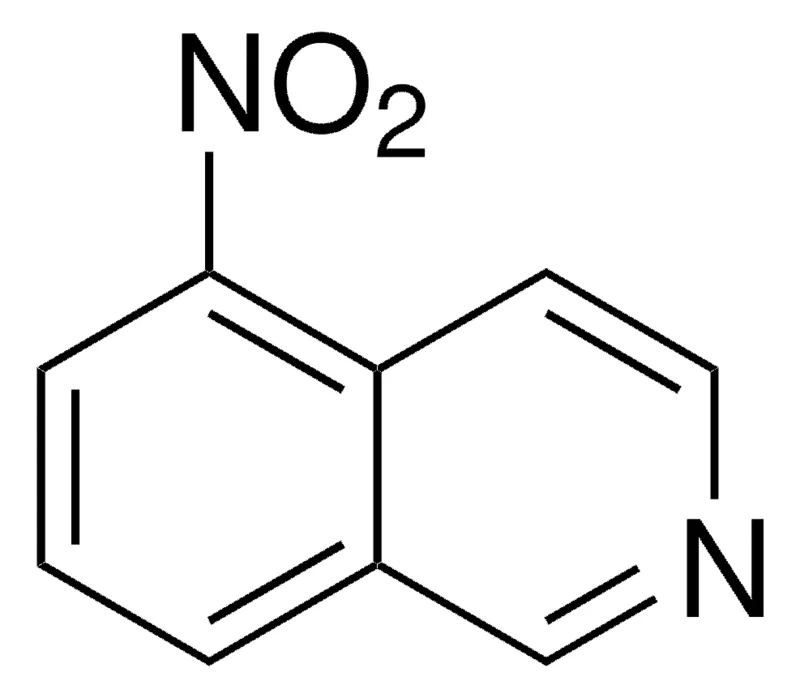 Sigma-Aldrich 5-硝基异喹啉,百分之九十八