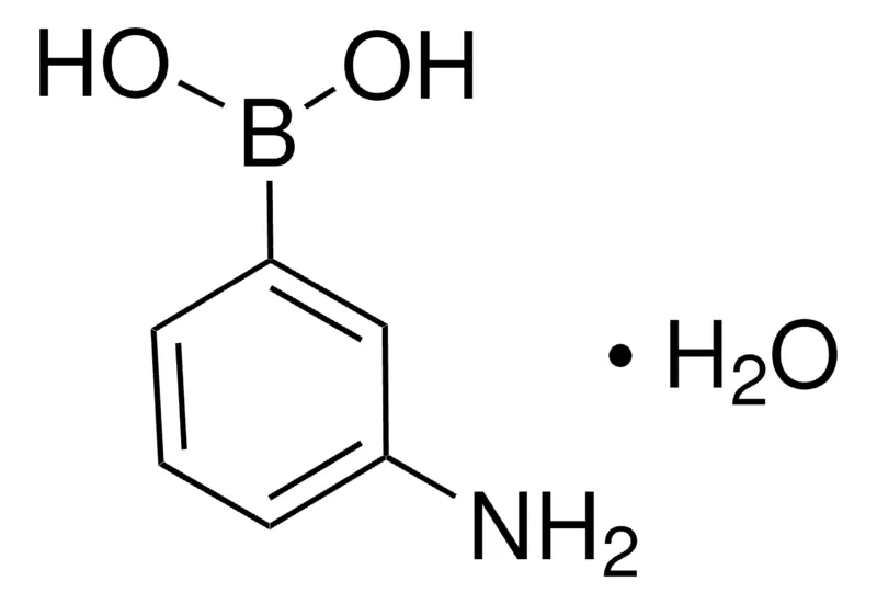 Sigma-Aldrich 3-氨基苯硼酸 一水合物，百分之九十八