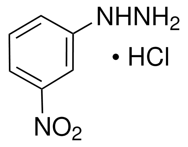 Sigma-Aldrich 3-硝基苯肼 盐酸盐,百分之九十八