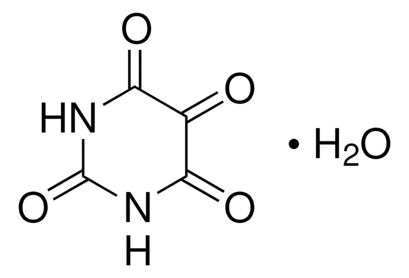 Sigma-Aldrich 阿脲 一水合物,百分之九十八