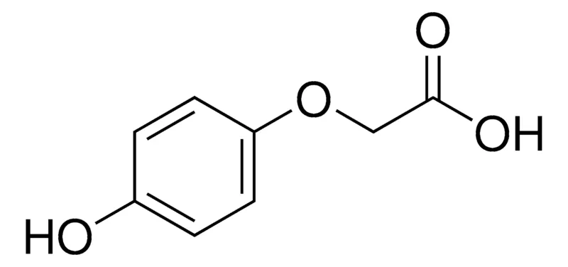 Sigma-Aldrich 4-羟基苯氧乙酸，百分之九十八