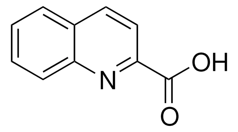 Sigma-Aldrich 喹哪啶酸，百分之九十八