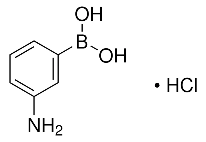 Sigma-Aldrich 3-氨基苯硼酸 盐酸盐，百分之九十八