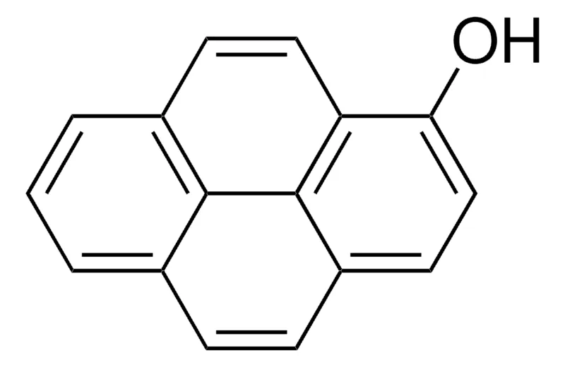 Sigma-Aldrich 1-羟基芘,百分之九十八