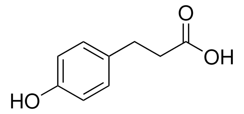 Sigma-Aldrich 3-(4-羟基苯基)丙酸,百分之九十八