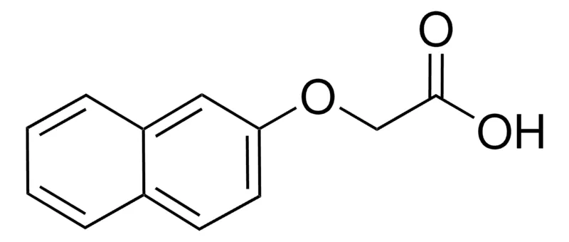 Sigma-Aldrich 2-萘氧基乙酸，百分之九十八