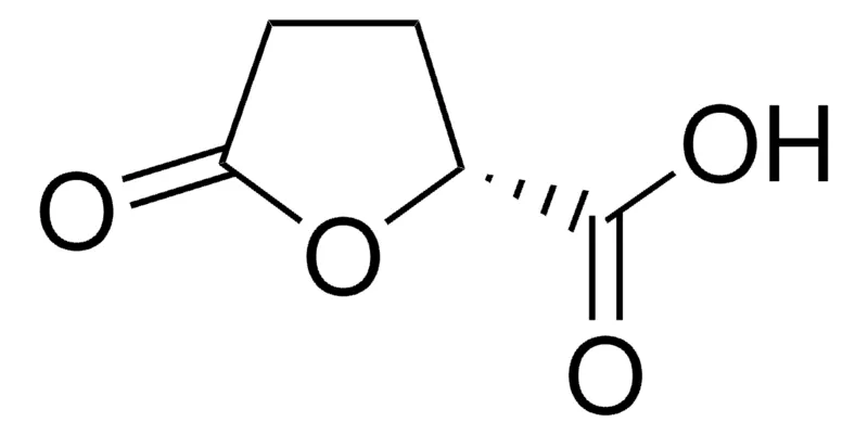 Sigma-Aldrich (R)-(-)-5-氧代-2-四氢呋喃羧酸，百分之九十八