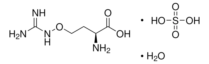 Sigma-Aldrich L-(+)-刀豆氨酸 硫酸盐 一水合物，百分之九十八
