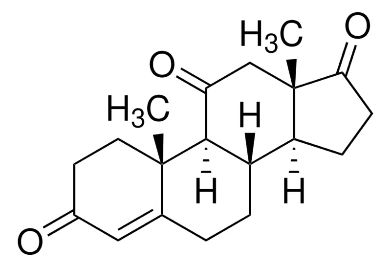 Sigma-Aldrich 肾上腺甾酮,百分之九十八