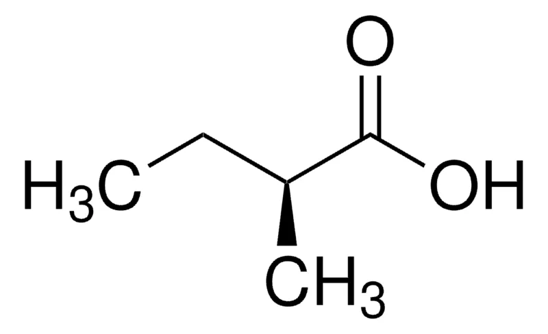 Sigma-Aldrich (S)-(+)-2-甲基丁酸，百分之九十八