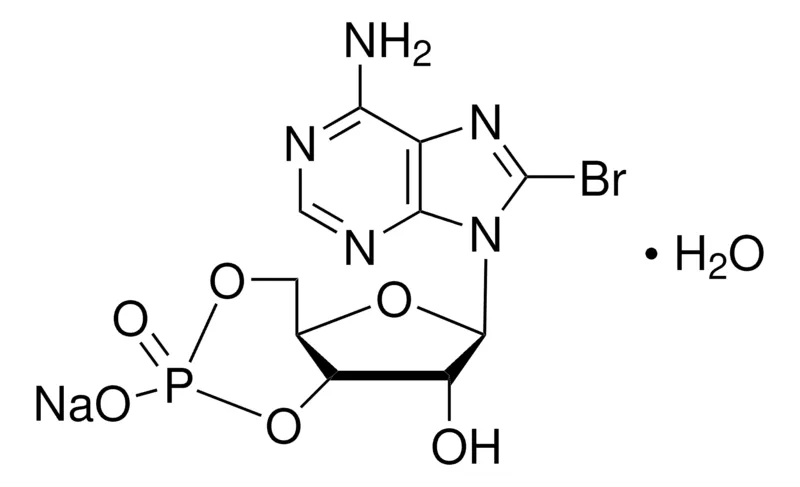 Sigma-Aldrich 8-溴腺苷-3′,5′-环单磷酸 钠盐 一水合物,百分之九十八