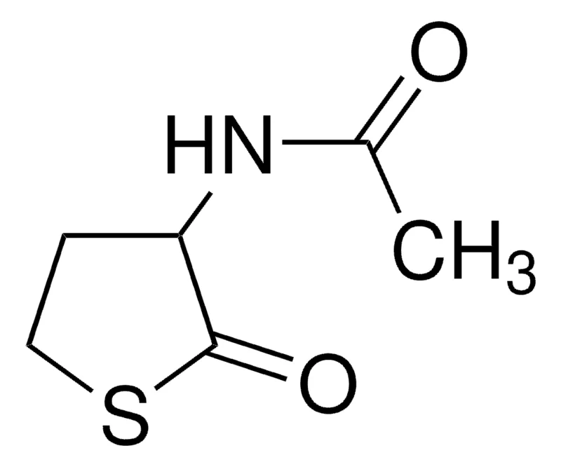 Sigma-Aldrich DL-N-乙酰高半胱氨酸硫内酯,百分之九十八
