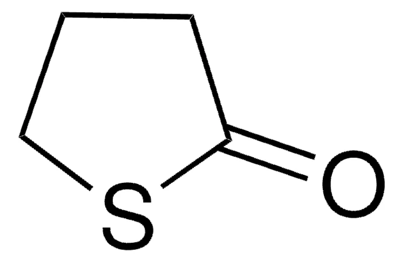 Sigma-Aldrich γ-硫代丁内酯,百分之九十八