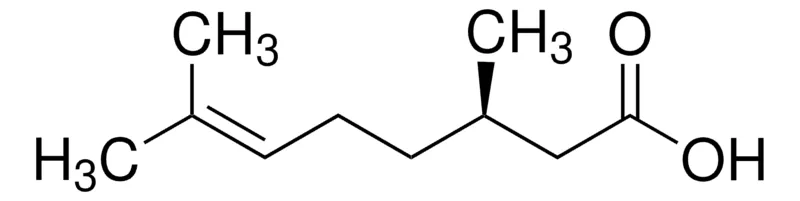 Sigma-Aldrich (R)-(+)-香茅酸，百分之九十八