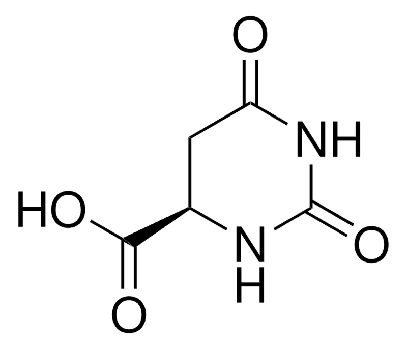 Sigma-Aldrich D-氢化乳清酸，百分之九十八