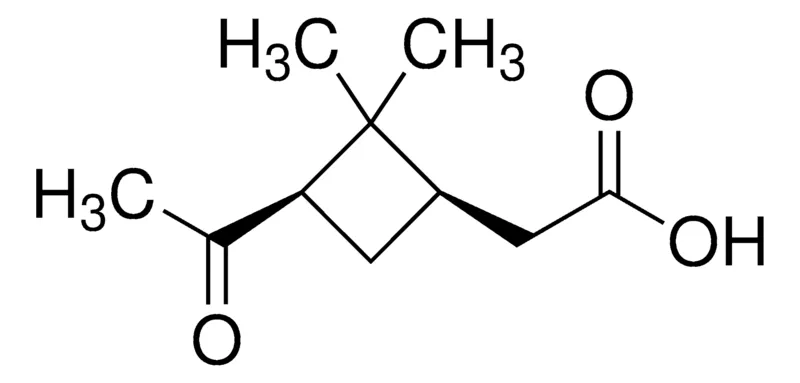 Sigma-Aldrich 蒎酮酸，百分之九十八