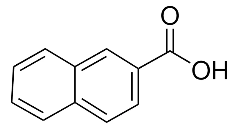 Sigma-Aldrich 2-萘甲酸，百分之九十八