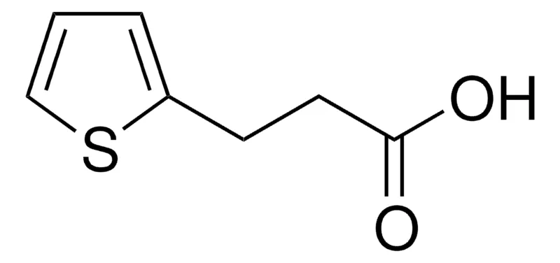 Sigma-Aldrich 2-噻吩丙酸，百分之九十八
