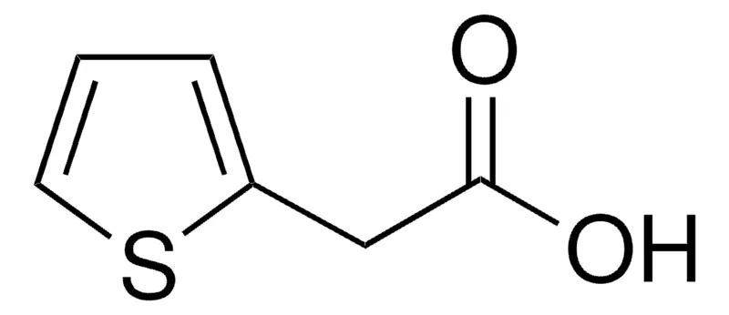 Sigma-Aldrich 2-噻吩乙酸,百分之九十八