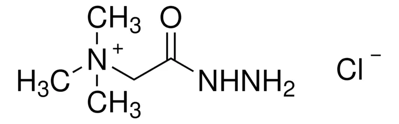 Sigma-Aldrich 吉拉尔特试剂 T，百分之九十八