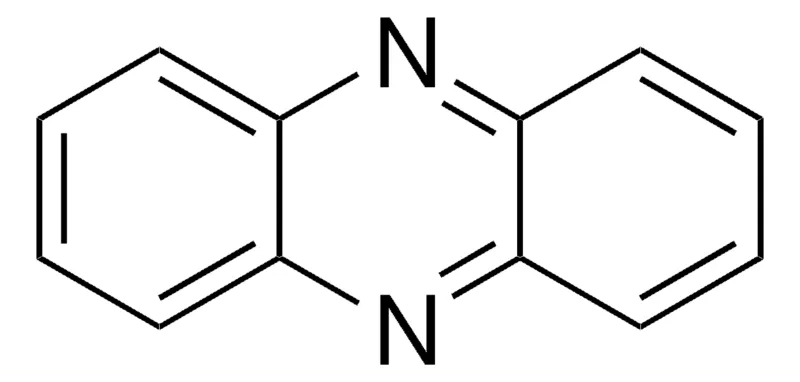 Sigma-Aldrich 吩嗪，百分之九十八