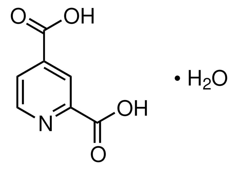 Sigma-Aldrich 2,4-吡啶二羧酸 一水合物，百分之九十八