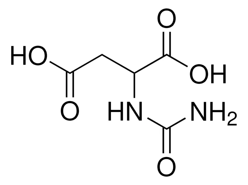 Sigma-Aldrich DL-脲基琥珀酸，98.0-102.0%（T）