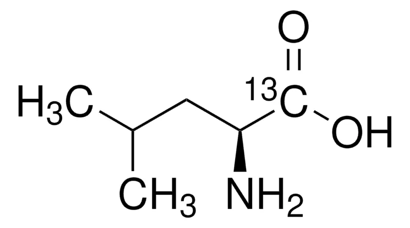 Sigma-Aldrich L-亮氨酸-1-13C，99原子% 13 C