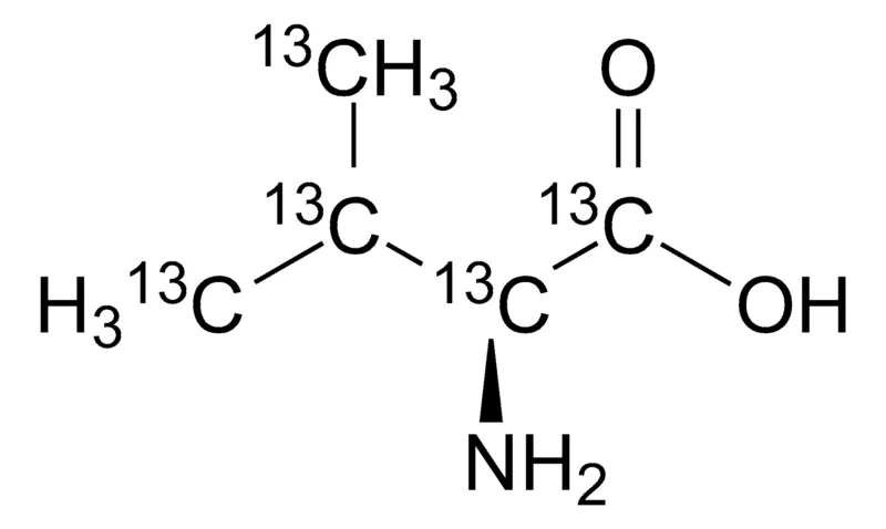Sigma-Aldrich L-缬氨酸-13C5,99原子% 13 C,97%(CP)